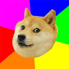 Doge 1